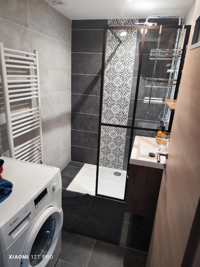 Appartement Renovee Dans Maison Ancienne Amancy Eksteriør billede