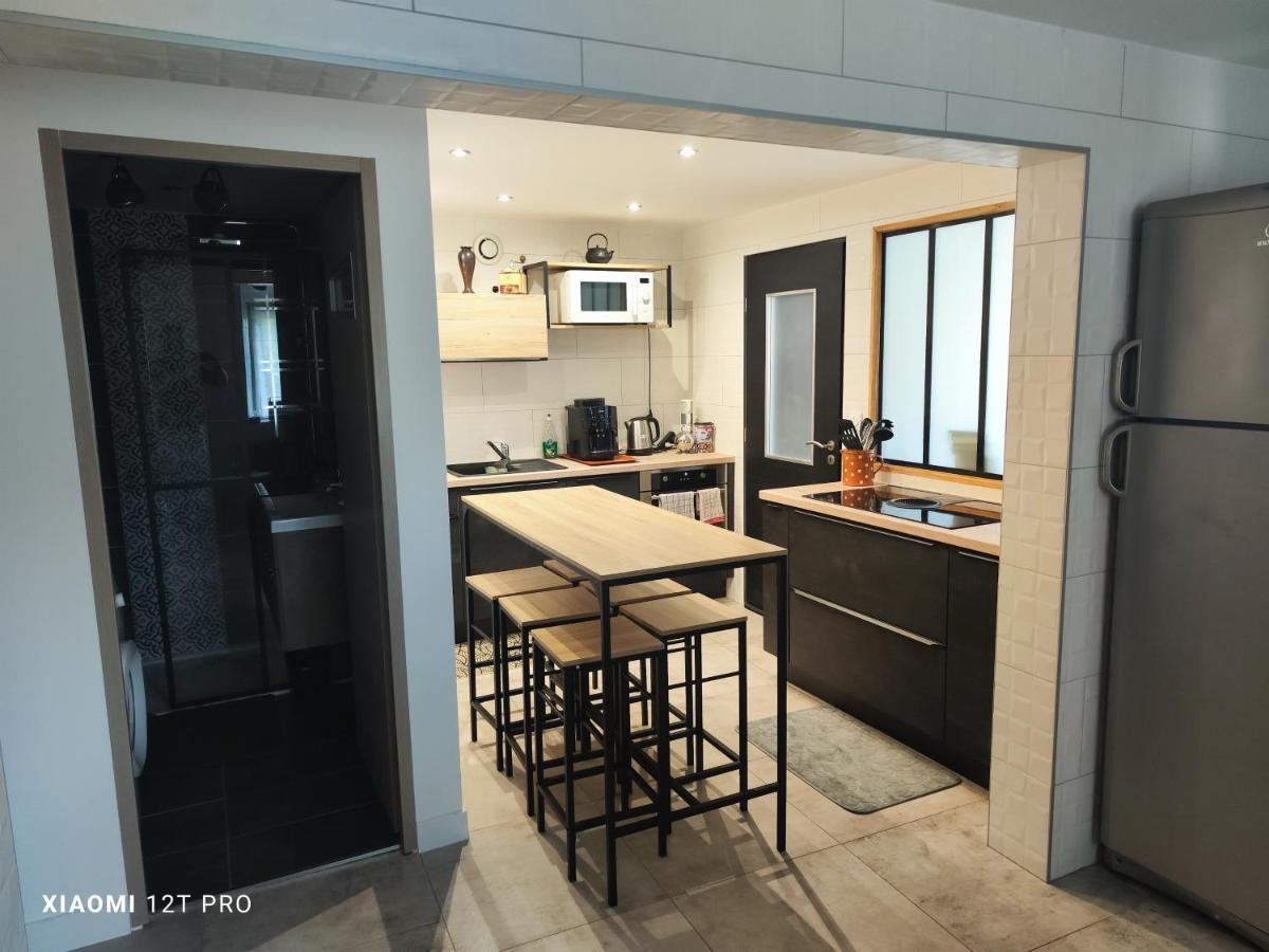Appartement Renovee Dans Maison Ancienne Amancy Eksteriør billede